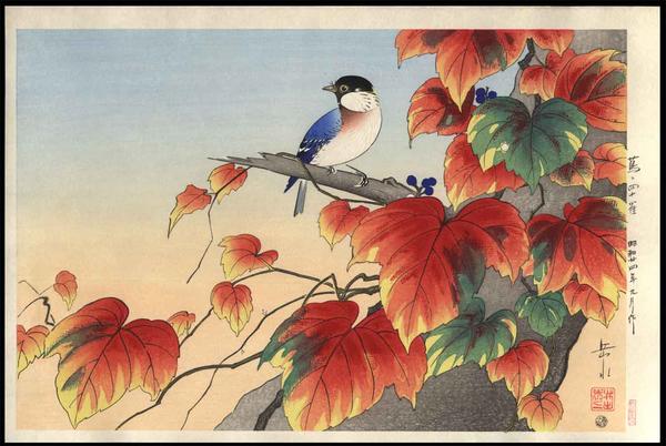 Japanese Ivy and Titmouse