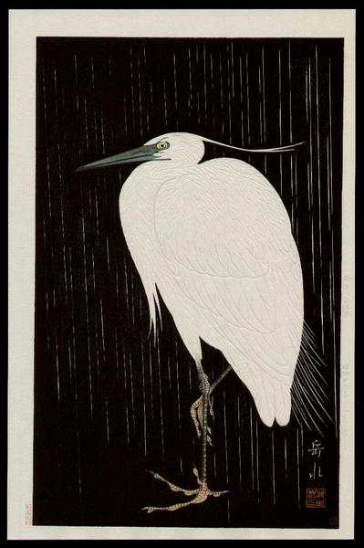 White Heron in Rain
