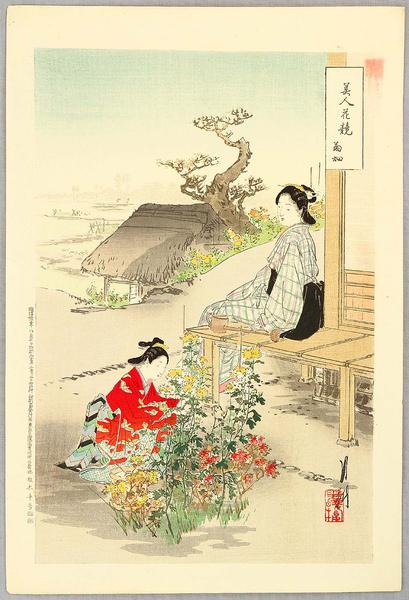 Beauties and Chrysanthemums