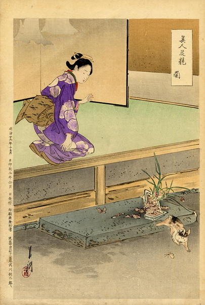 The Orchid