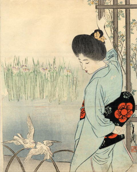 Iris