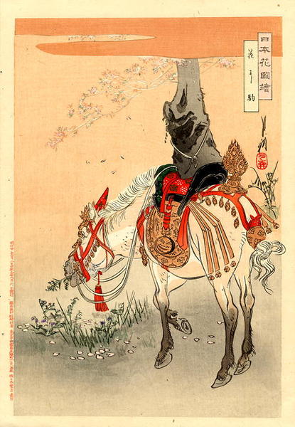 A caparisonned horse standing next to a flowering Cherry tree
