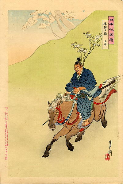 Riding for cherry hunt