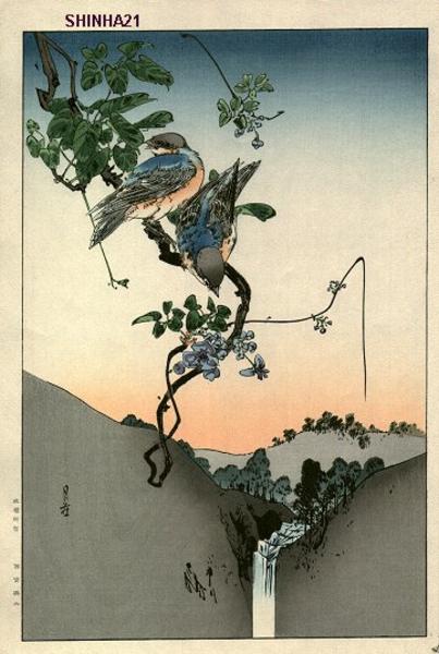 Blue Birds and Akebia