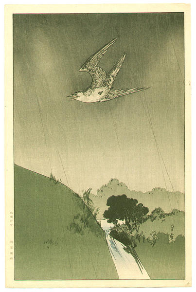 Cuckoo in the Rain