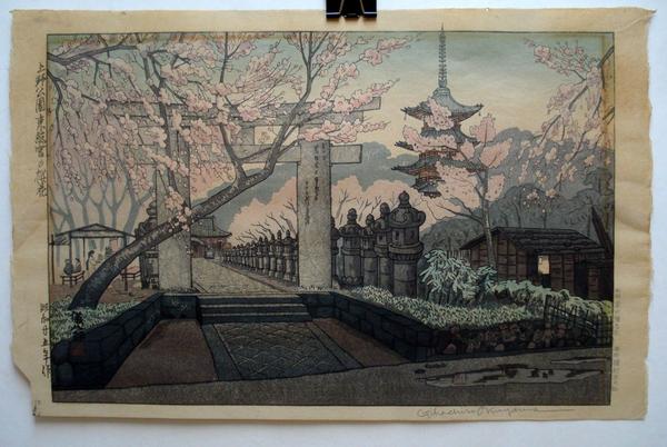 Cherry Blossoms at Toshogu Shrine, Ueno Park