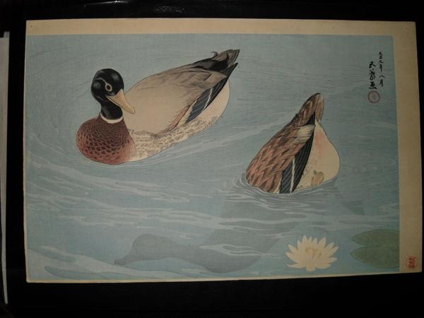 Mandarin Ducks