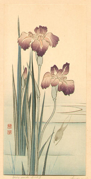 Iris and Frog