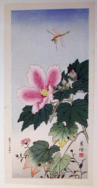 Unknown, Dragonfly and Flowers