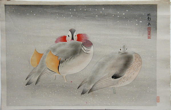 Mandarin Ducks in Snow