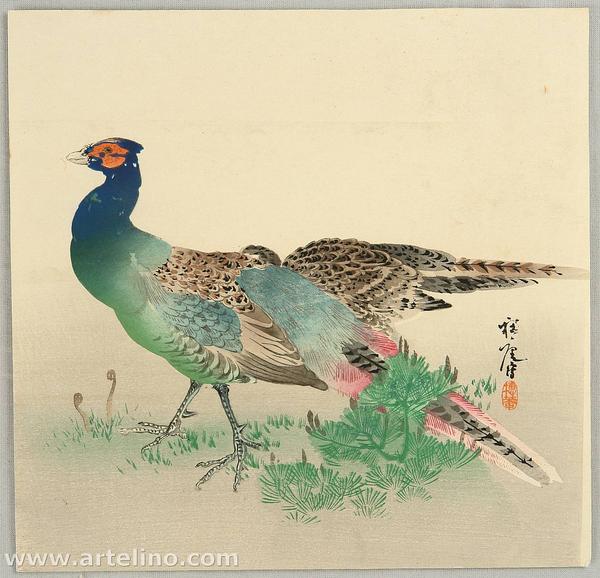 Pheasants