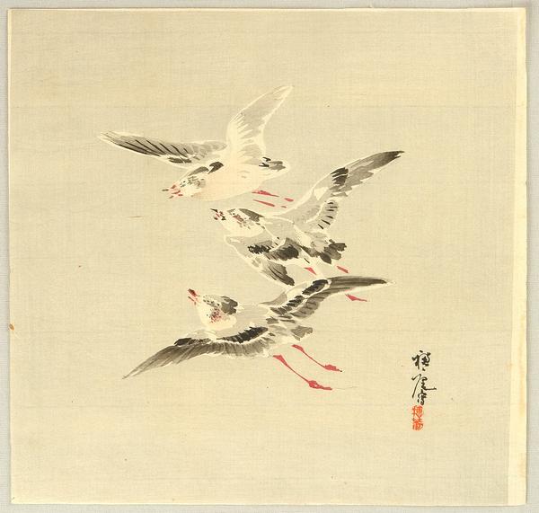 Three Birds