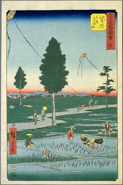 Fukuroi