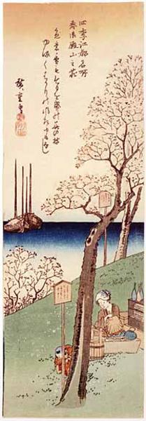 Cherry Blossoms at Gotenyama, Spring