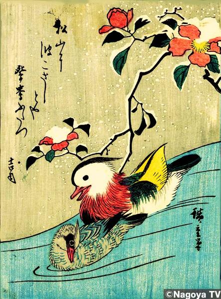 Oshidori