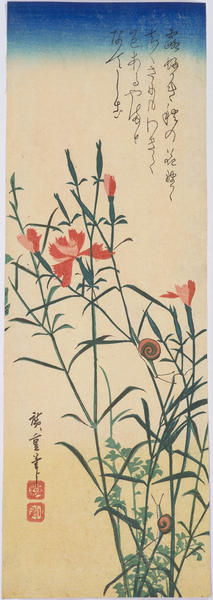 Pinks and Snails