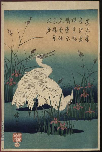 Shirasagi (Snowy Heron)- repro