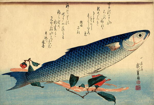 Unknown title
