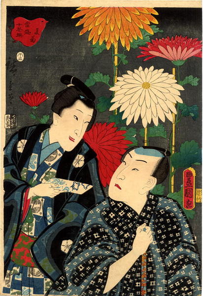 Chrysanthemum