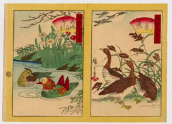 Narcissus and Mandarin duck etc.