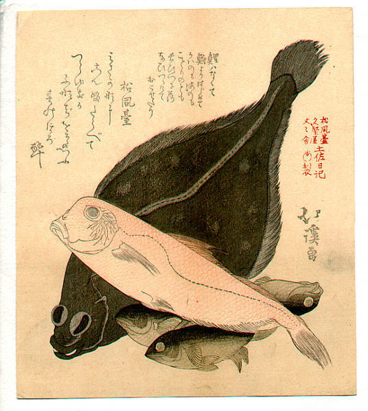fish