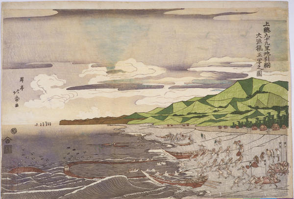 Actual Sketch of A Good Catch in Drag-Net Fishing at Kujukuri Beach in Kazusa Province