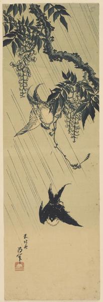Swallows and wisteria