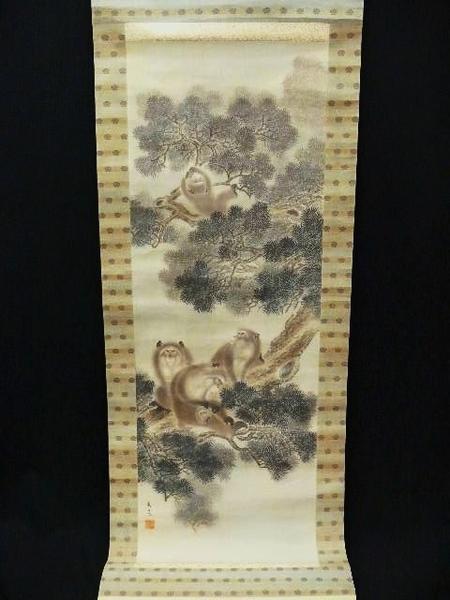 Monkeys in Pine Tree
