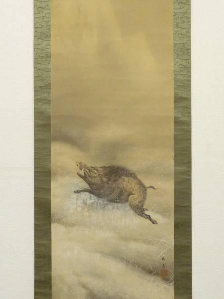 Wild Boar