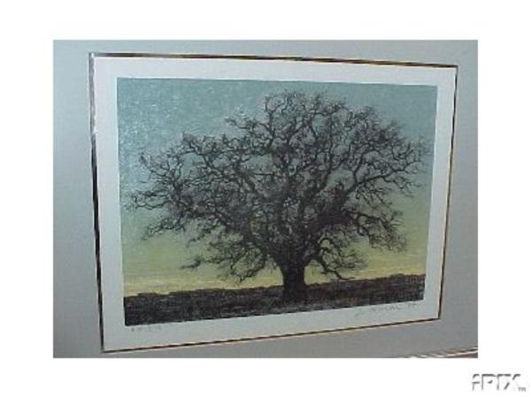 Unknown, leafless tree 2