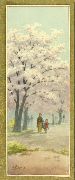 Cherry Blossom Viewing