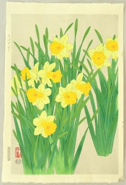 Daffodils