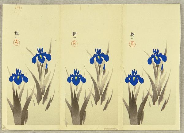 Two Iris - trial prints