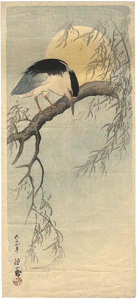 Bird on a Branch Under the Sun