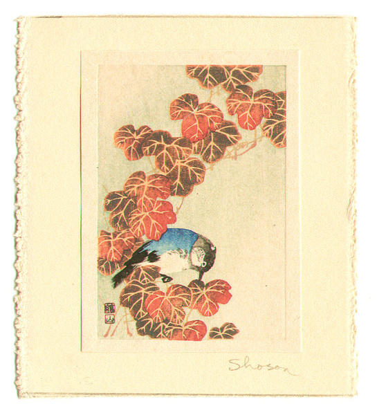 Blue Bird and Autumn Leaves