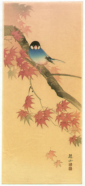 Blue Bird in Autumn