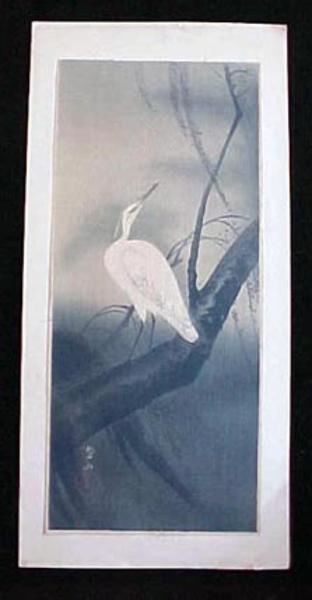 White Egret