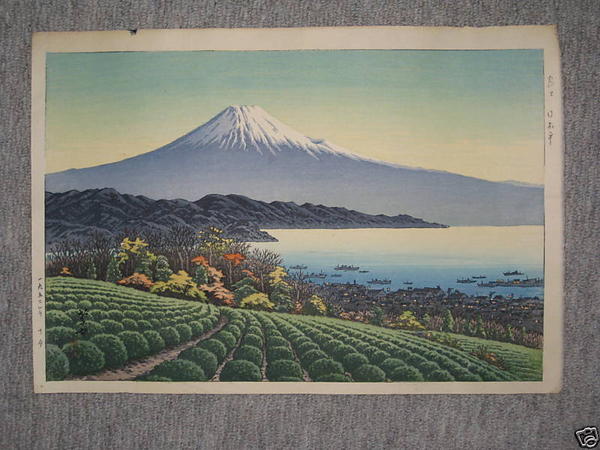 Fuji from tea farm