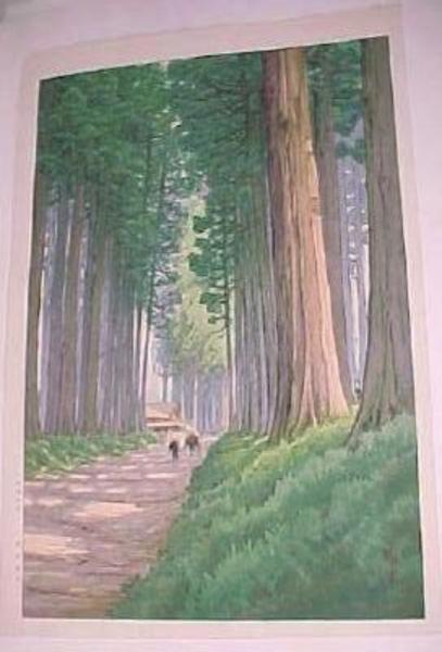 Avenue of Cryptomeria in Nikko