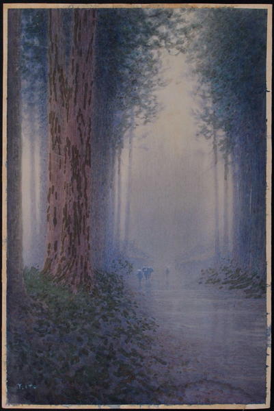 Cryptomeria Avenue, Nikko