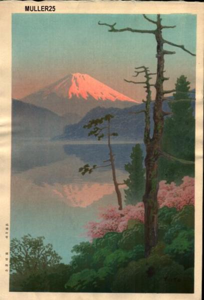 Fuji from Taganoura