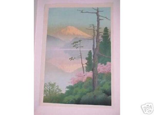 Fuji from Taganoura