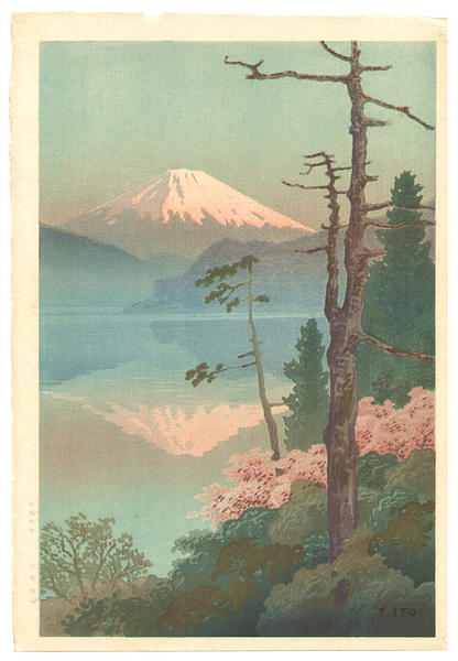 Fuji from Taganoura