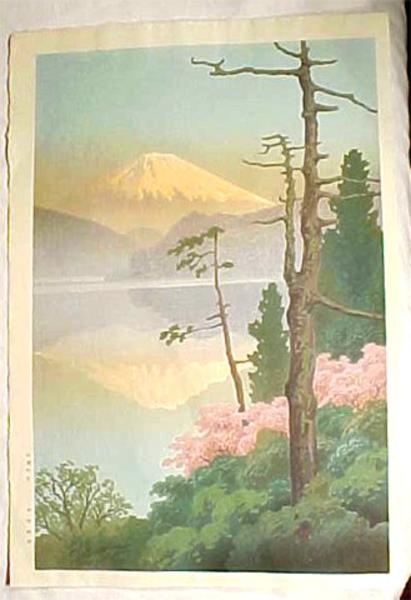 Fuji from Taganoura