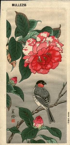 Bullfinch and Peony