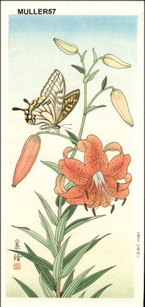 Butterfly and Tiger Lily