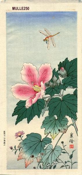 Dragonfly and Hibiscus