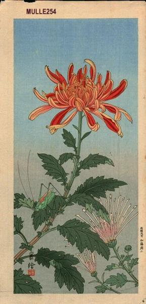 Grasshopper and Chrysanthemum