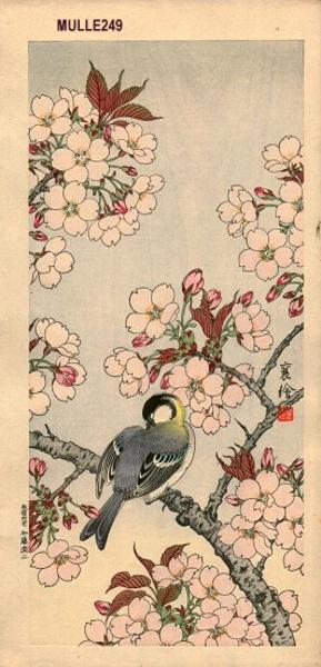 Sparrow and cherry blossoms