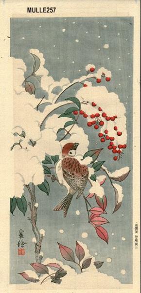 Sparrow in snow